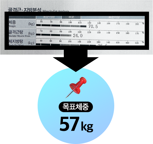 인바디 결과지