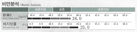 비만분석표